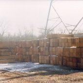 Imported Asian 12x12 Timbers for industrial applications.